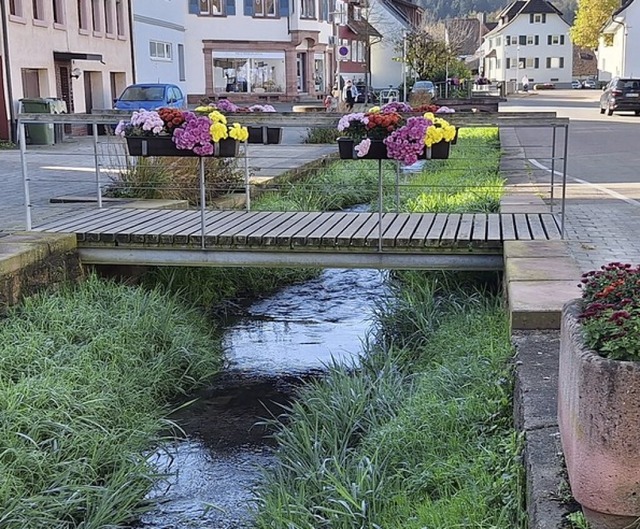 Der Bach, das Gras und die Blumen  | Foto: Wolfgang Beck