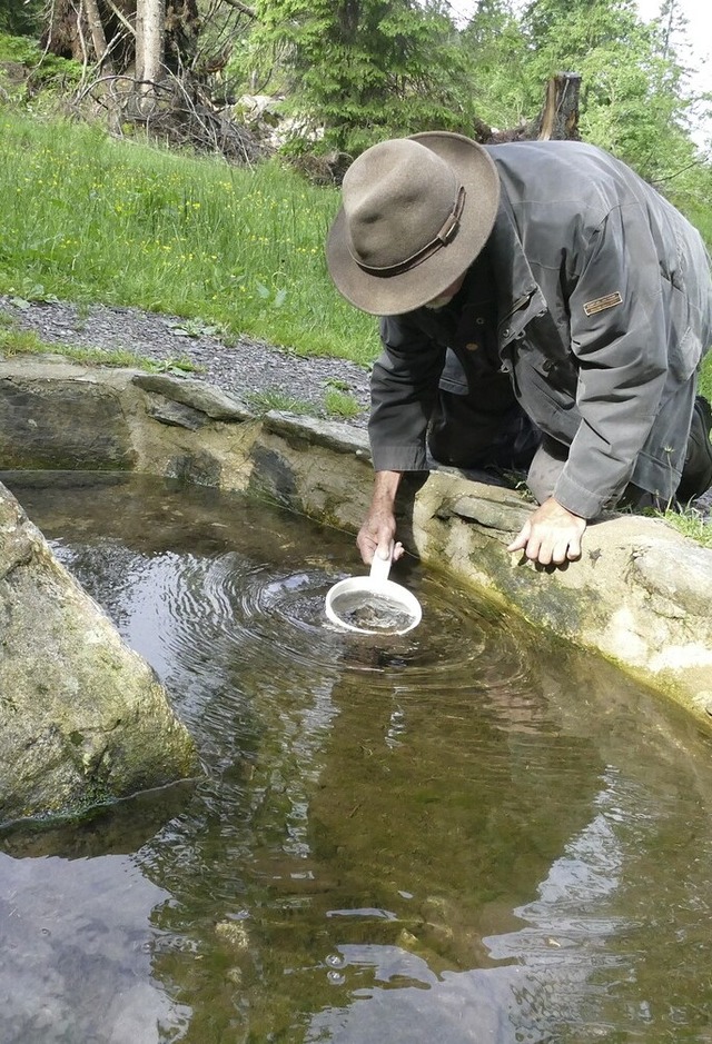 Die Quelle der Wiese am Feldberg  | Foto: Stefan Mertlik