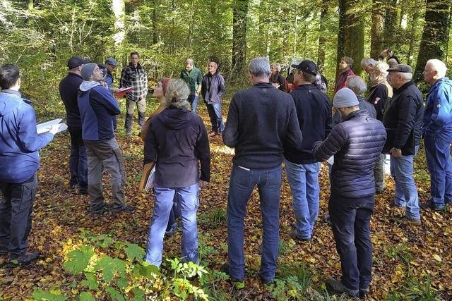 Ein Waldstck in Wehr als Vorbild fr Europa?