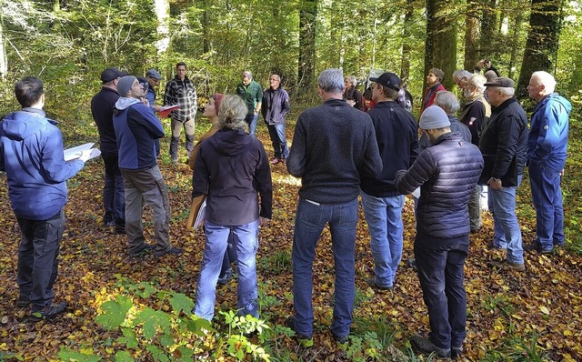 Waldexperten und -besitzer diskutieren in Wehr ber den Wald der Zukunft.  | Foto: Denis Schimak