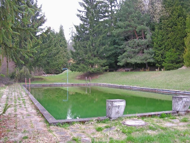 Der ideale Standort fr eine Wassertre...schaftsrates am stillgelegten Freibad.  | Foto: Christa Maier