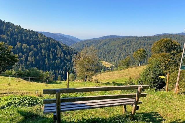 Auch eine Mountainbikestrecke kann Heimat sein: Ein Jahreskalender zum Todtmoos-Trail