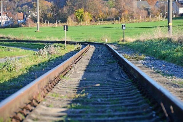 Wie hoch sind die Kosten fr die Reaktivierung der Kandertalbahn vor Ort?