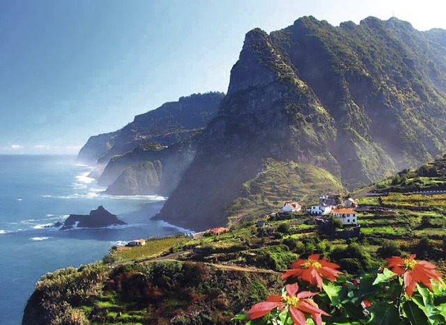 Kstenpanorama von Madeira mit wildem Blumenmeer.  | Foto: Foto-Jagla.de (Shutterstock.com)