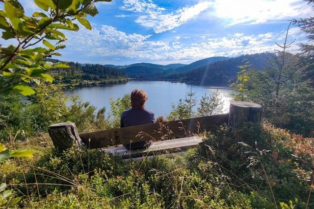 Gefhrden Gesetze zum Schutz des Waldes in Baden-Wrttemberg den Erhalt von Sitzbnken?