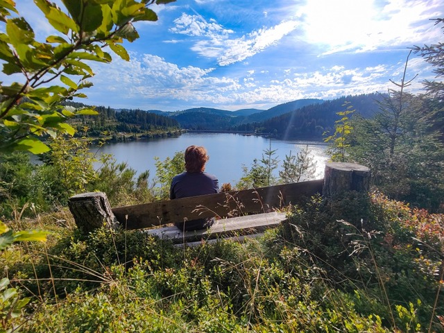 Sitzbnke, wie hier am Schluchsee, sin...d Spaziergnge willkommene Rastpltze.  | Foto: Katharina Hitz