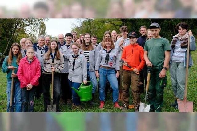 Jugendliche des CVJM Weil-Haltingen pflanzen Bume am Tllinger Berg