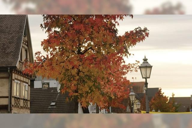 Leuchten in Friesenheim