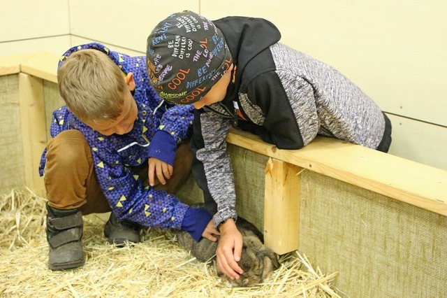 Dieses Kaninchen  scheint die Zuwendun...eisterten Buben wirklich zu genieen.   | Foto: Heidemarie Rombach