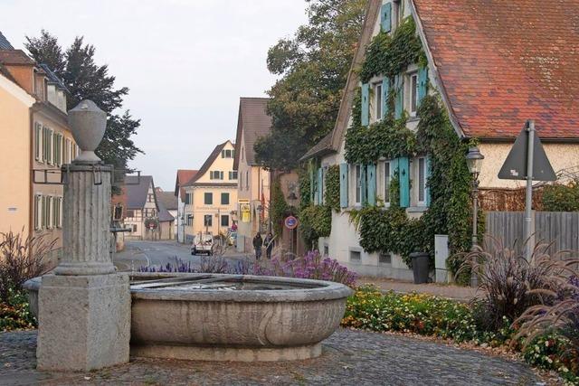 Stadtentwicklung systematisch angehen: Mllheim will ein breit angelegtes Entwicklungskonzept erarbeiten