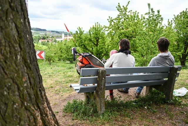 Sitzbnke im Wald abzubauen wre Schildbrgerei