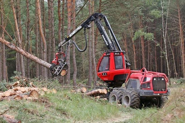 Prozess um Sabotage an Holz-Vollernter endet mit Freispruch aus Mangel an Beweisen