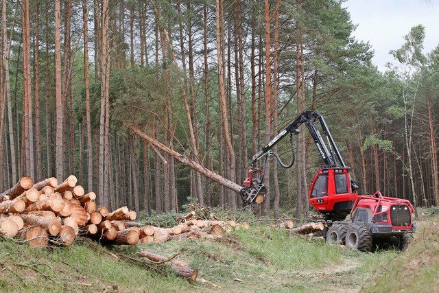 Sabotage an einem Holz-Vollernter wie ...hftigte das Schopfheimer Amtsgericht.  | Foto: Bodo Marks