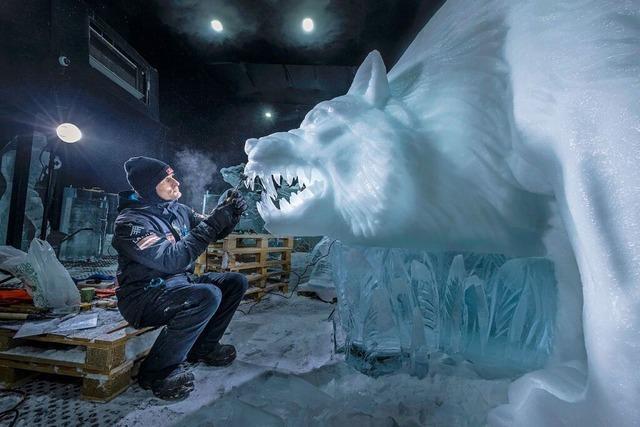 Erleben Sie das niederlndische Eisskulpturen-Festival 2025