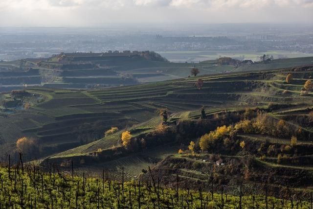 We Escape Kaiserstuhl