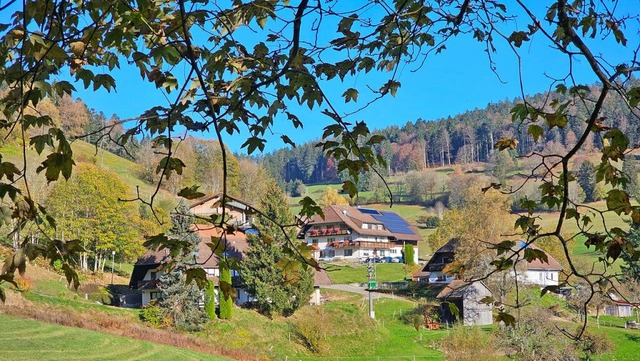 Die Bewohner des Pfaffenberger Weiler ...on Windanlagen eingekesselt zu werden.  | Foto: Gerald Nill