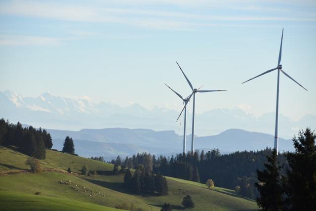 Schopfheim nimmt neuen Anlauf fr fnf weitere Windrder und benennt im Gegenzug Ausschlussflchen