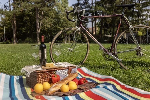 In Freiburgs Grnanlagen lsst sich prima die Picknickdecke ausbreiten