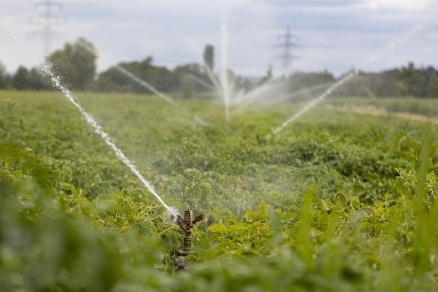 Nach Grndung der Wasser- und Bodenverbnde im sdlichen Breisgau kndigen Kleinbauern Klagen an