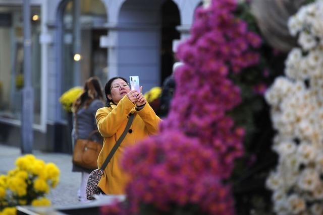 Wegen Streik: In Lahr fahren am Mittwoch und Donnerstag keine Chrysanthema-Busse