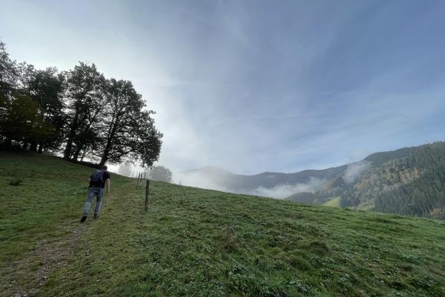 Auf der Spur des Brotbackens auf dem Brotweg bei Elzach