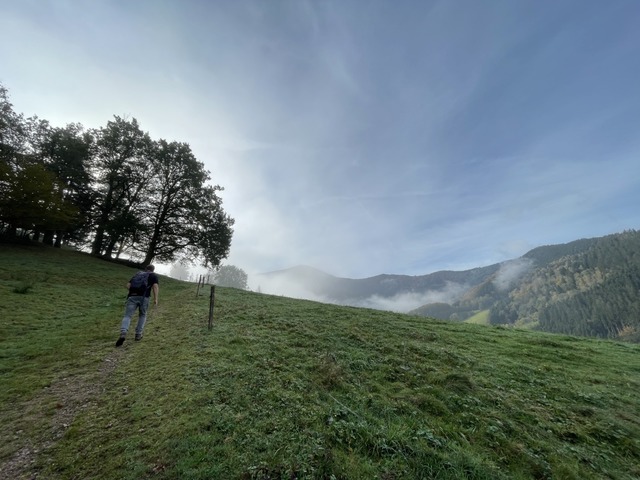 Auf dem Brotweg in Yach lichten sich die Nebelschwaden, die noch im Tal hngen.  | Foto: Silke Kohlmann