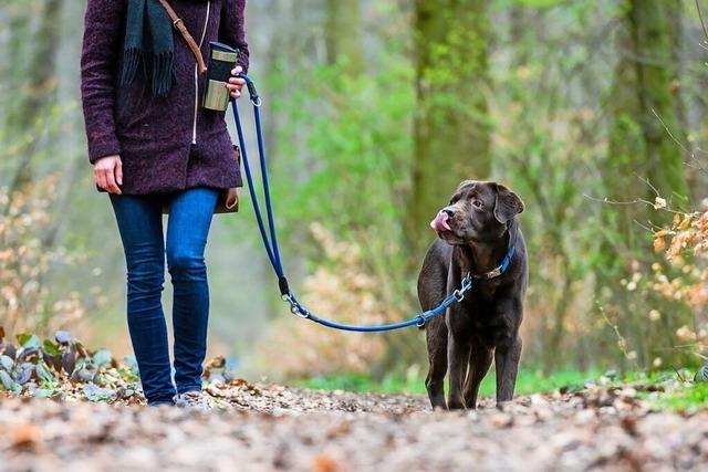 Hundebesitzer laufen Sturm gegen Steuererhhung in Hasel