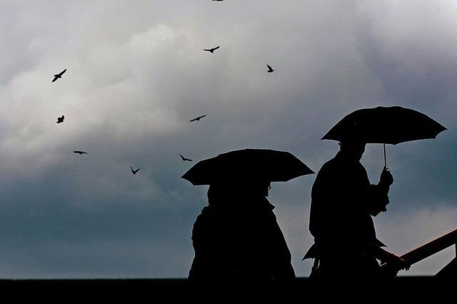 Trb und neblig: So war der Oktober an der Wetterstation Ettenheimmnster