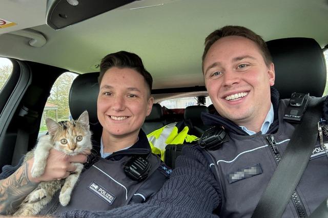 Autobahnpolizei rettet kleine Katze bei Lahr