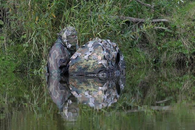 Im Feldberger Haus der Natur gibt's bis Dezember eine Ausstellung ber tierische Meister der Tarnung