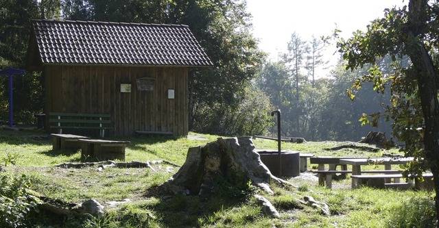 Auf dem  Prfstand steht der Waldspiel...r Erneuerung nicht angezweifelt wird.   | Foto: Christa Maier