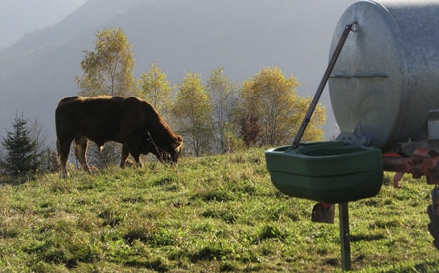 Die Sicherung der Versorgung des Wiede...mit Wasser war Thema im Gemeinderat.    | Foto: Eva Wollweber