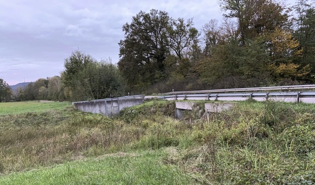 Die Hochwassermulde fngt Wasser ab un...e  knnte den Schutz noch verbessern.   | Foto: Mario Schneberg