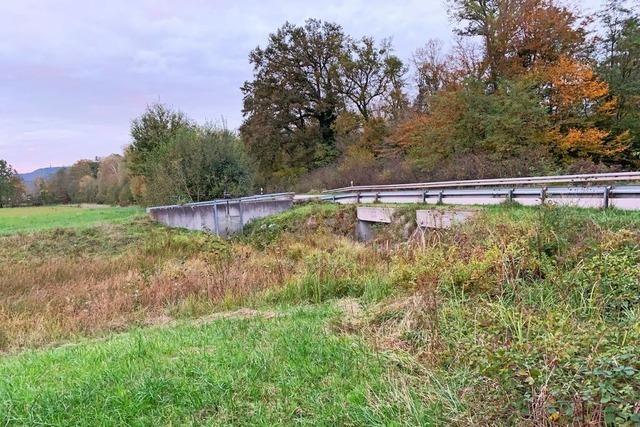 Ein Damm soll Gottenheim besser vor Hochwasser schtzen