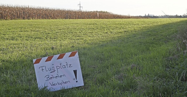 30 Ar Wiese nutzt der Verein fr seine Landebahn bei Mengen.  | Foto: Reinhold John