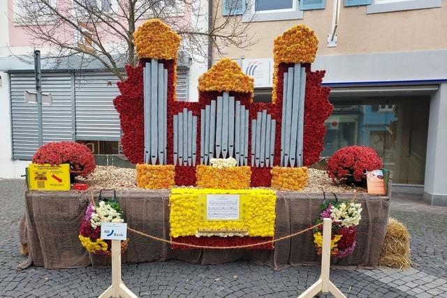 Dreiste Diebe klauen bei der Chrysanthema in Lahr Spenden fr Orgel