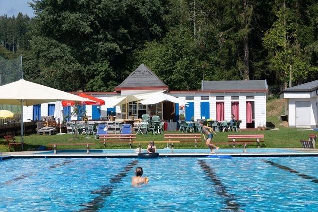 Freibad Kappel soll ein Naturbad mit biologischer Wasseraufbereitung werden