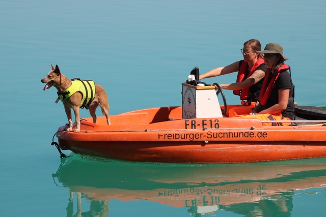 Helferinnen und Hund sitzen bei einem ... Niederrimsinger Baggersee entstanden.  | Foto: Annika Sindlinger