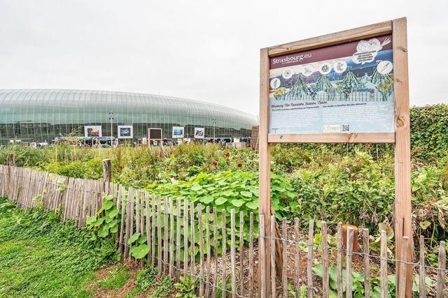 Es grnt so grn am Straburger Bahnhofsvorplatz