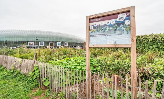 Vor der futuristischen Bahnhofsvorhall... urbane Garten einen starken Kontrast.  | Foto: Anne Telw