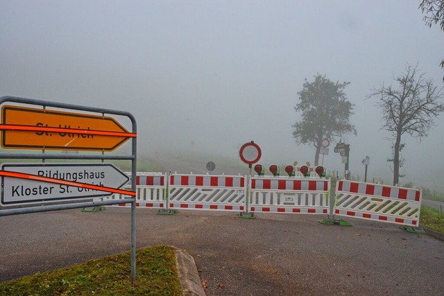 Die Kreisstrae nach St. Ulrich ist im... Ende November wieder geffnet werden.  | Foto: Gabriele Hennicke