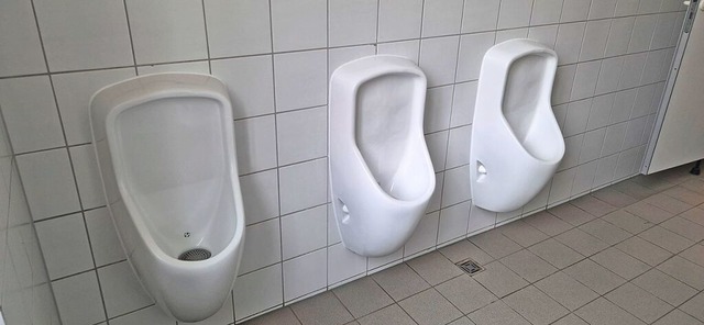 Die Toiletten in der Eichrodtschule sollen schlecht geputzt worden sein.  | Foto: Christian Kramberg