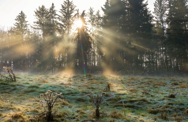 Das Wetter wird herbstlich kalt.  | Foto: Thomas Warnack/dpa