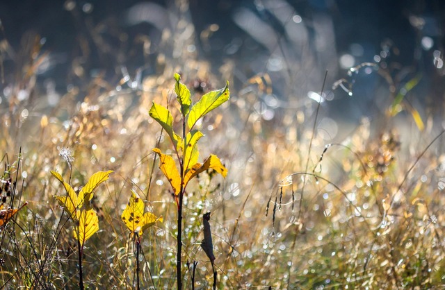 Die Temperaturen sinken.  | Foto: Thomas Warnack/dpa