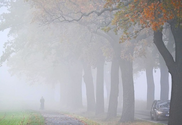 Nebel verschleiert die Landschaft mit ...ie Menschen in Berlin und Brandenburg.  | Foto: Patrick Pleul (dpa)