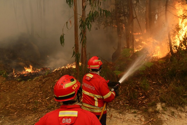 Die Zahl der Waldbr&auml;nde w&auml;chst mit dem Klimawandel (Archivbild)  | Foto: Bruno Fonseca/AP