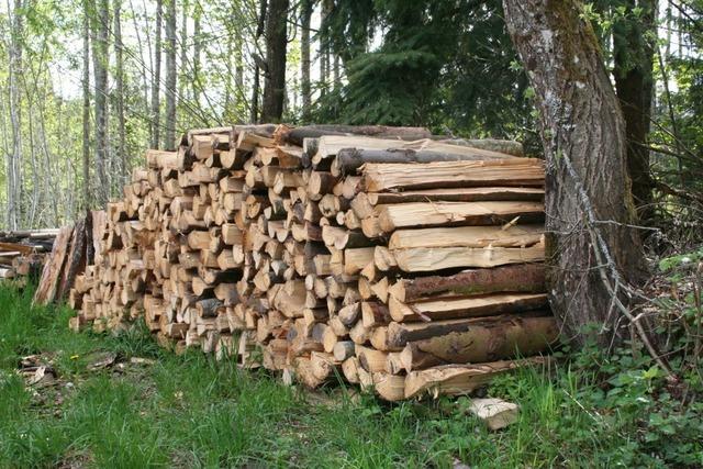 Brennholz direkt aus dem Wald ist kaum gefragt