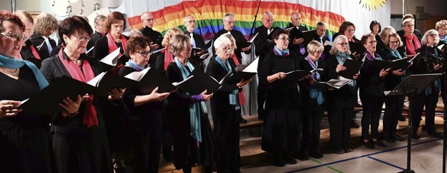 TonArt Nollingen beim Konzert   | Foto: Heinz und Monika Vollmar