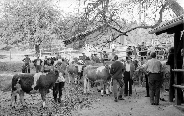 Landwirtschaft in frheren Zeiten in Ettenheim  | Foto: Repro: Klaus Schade