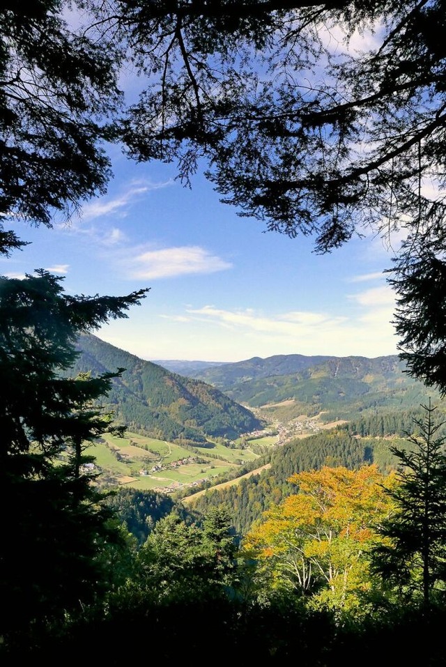 Zum Wandern ideal: das Zweitlerland  | Foto: Horst Dauenhauer